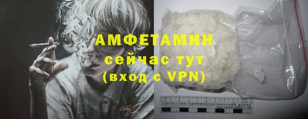 ГАЛЛЮЦИНОГЕННЫЕ ГРИБЫ Верея