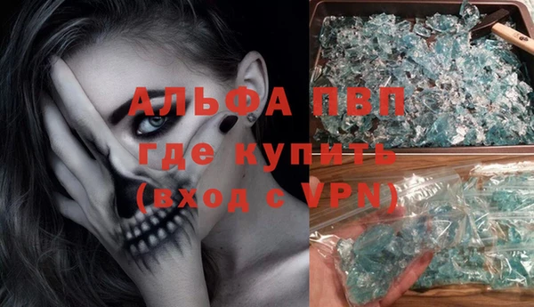 ГАЛЛЮЦИНОГЕННЫЕ ГРИБЫ Верея