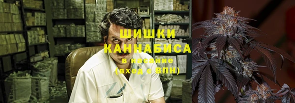 ГАЛЛЮЦИНОГЕННЫЕ ГРИБЫ Верея