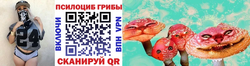 где продают наркотики  Туймазы  blacksprut tor  Галлюциногенные грибы мицелий 